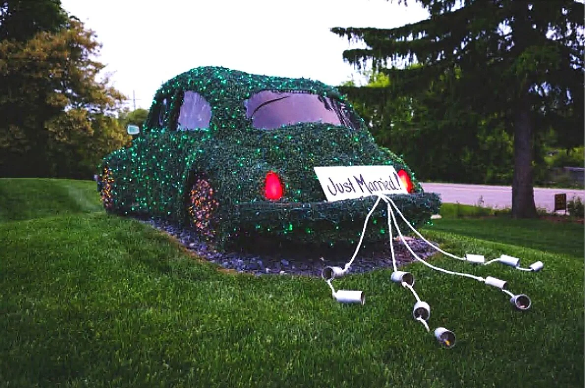 The story behind Planterra's Love Bug — Planterra Conservatory